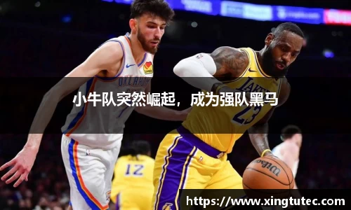 小牛队突然崛起，成为强队黑马