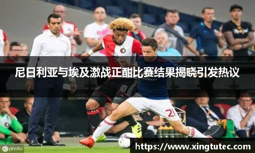 尼日利亚与埃及激战正酣比赛结果揭晓引发热议