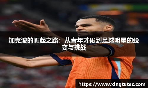 彩神vll官网
