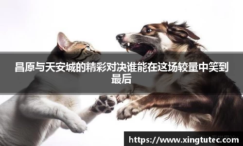 昌原与天安城的精彩对决谁能在这场较量中笑到最后