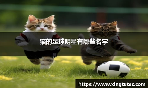 猫的足球明星有哪些名字